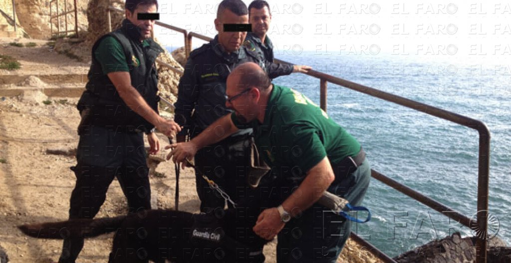 AUGC: “La operación es ineficaz”