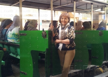 fotosmelilla 2014 05 29 spa 18 2 La Viceconsejería de Relaciones Vecinales inaugura la temporada del tren turístico