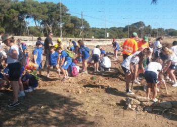fotosmelilla 2014 06 05 rebeca 15 1 Los escolares plantan su primer árbol