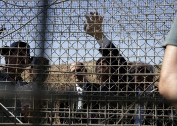 fotosmelilla 2014 07 22 pasp 4 1 Menos del 1% de inmigrantes logra superar la malla antitrepa de la valla