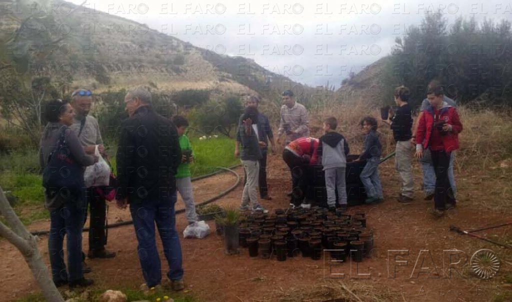 Guelaya retoma las actividades de ‘viverismo’