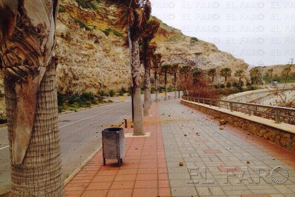 Medio Ambiente quiere tener abierto el paseo de Horcas antes del verano