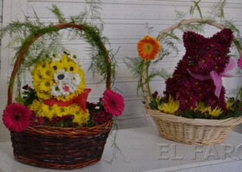 fotosmelilla 2015 04 30 P 21 04 Melilla recibe a las flores y a la primavera con diversas actividades