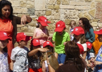 fotosmelilla 2015 05 18 dori 19 1 Las aves rapaces y un zorro, los protagonistas del Día Internacional de los Museos