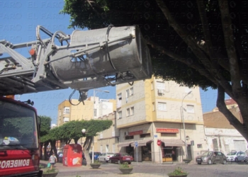 Árboles y señales ‘bloquean’ el paso de los Bomberos en La Legión