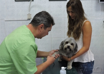 fotosmelilla 2015 08 14 Maria 15 1 Las altas temperaturas también afectan a los ‘peludos’ de la casa
