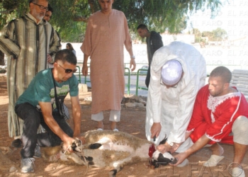fotosmelilla 2015 09 25 dori 3 5 Un sacrificio para ser solidarios