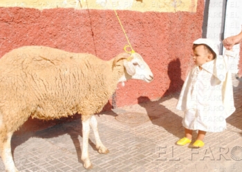 fotosmelilla 2015 09 25 dori 5 1 Mucho trabajo por hacer y días para disfrutar en familia