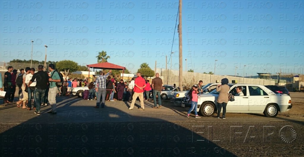“Si no fuera por los sirios, el sector de los taxis ya se habría hundido”
