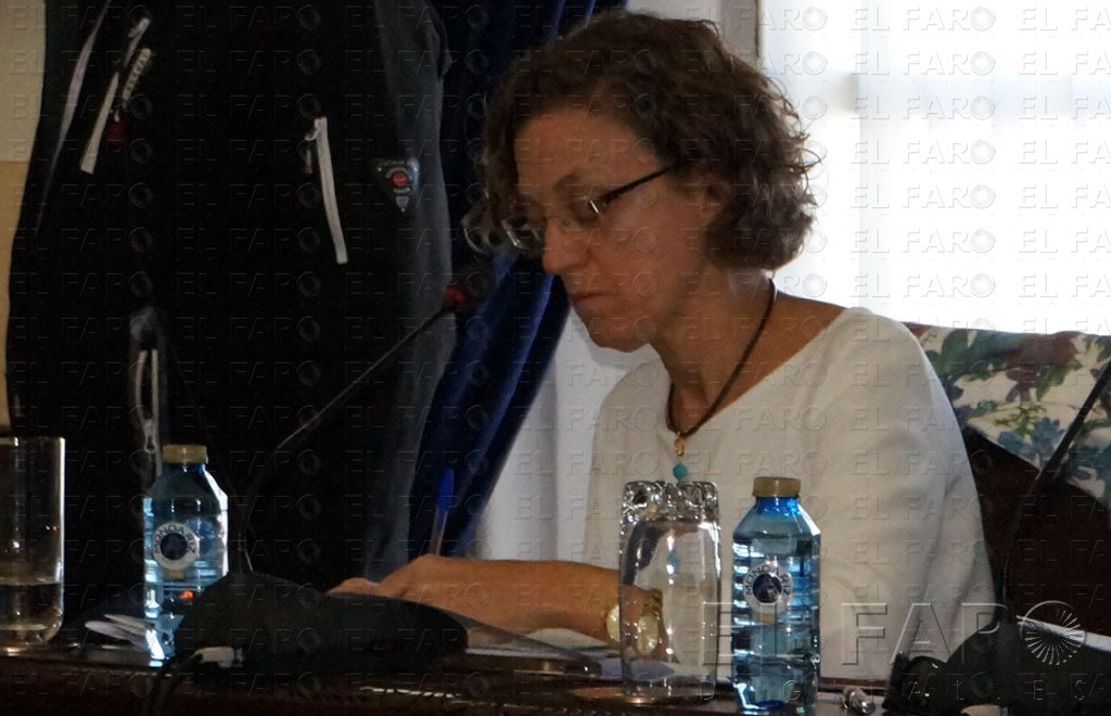 Rojas rectifica y habla de contratación y no de subvención a los medios locales