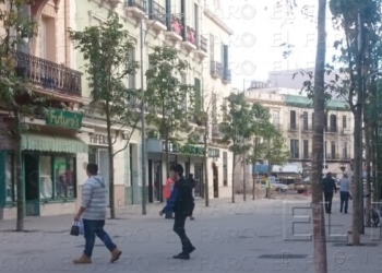 fotosmelilla 2016 01 05 dori 3 1 “Las obras de mejora de la ciudad no tienen relación con las elecciones”