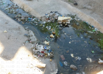 fotosmelilla 2016 02 03 pilar P1360086 Melilla está fuera de riesgo grave de verse afectada por el virus Zika