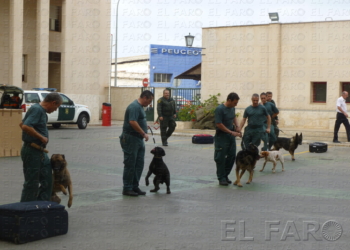 fotosceuta 2016 03 05 Tania Brigada canina La Policía Nacional de Melilla tendrá “en breve” entre 6 y 8 guías caninos