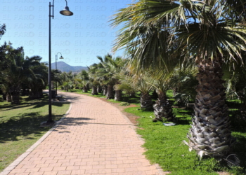 fotosceuta 2016 03 13 Melilla Manuel DSCN8231 El Parque Forestal, un oasis de puro oxígeno a disposición de todos