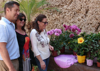 Plantas para conocer la riqueza de Melilla