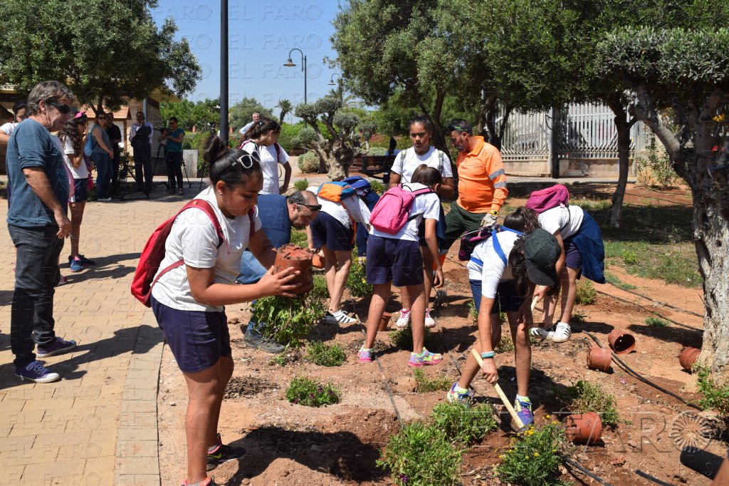 Alumnos melillenses plantan vegetales por el Día del Medio Ambiente