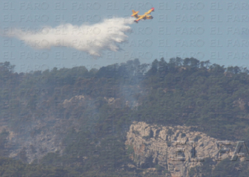 “El viento caliente y seco y la escasez de lluvias causaron esta catástrofe”