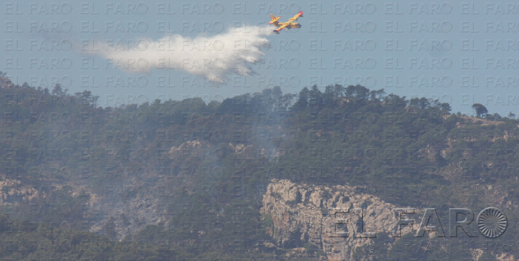 “El viento caliente y seco y la escasez de lluvias causaron esta catástrofe”