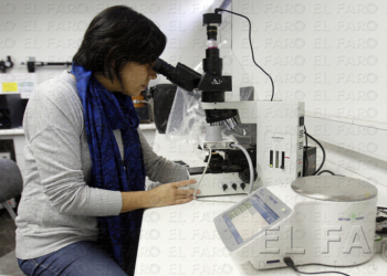 Salud Pública clausura un establecimiento hostelero de los 36 que ha inspeccionado