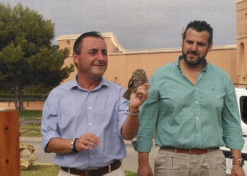 fotosceuta 2016 08 26 dori IMG 20160825 103427 Mijas elige a Melilla como destino de sus viajes para 1.750 mayores
