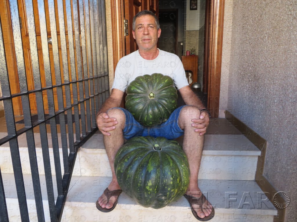 Un huerto con efecto terapéutico