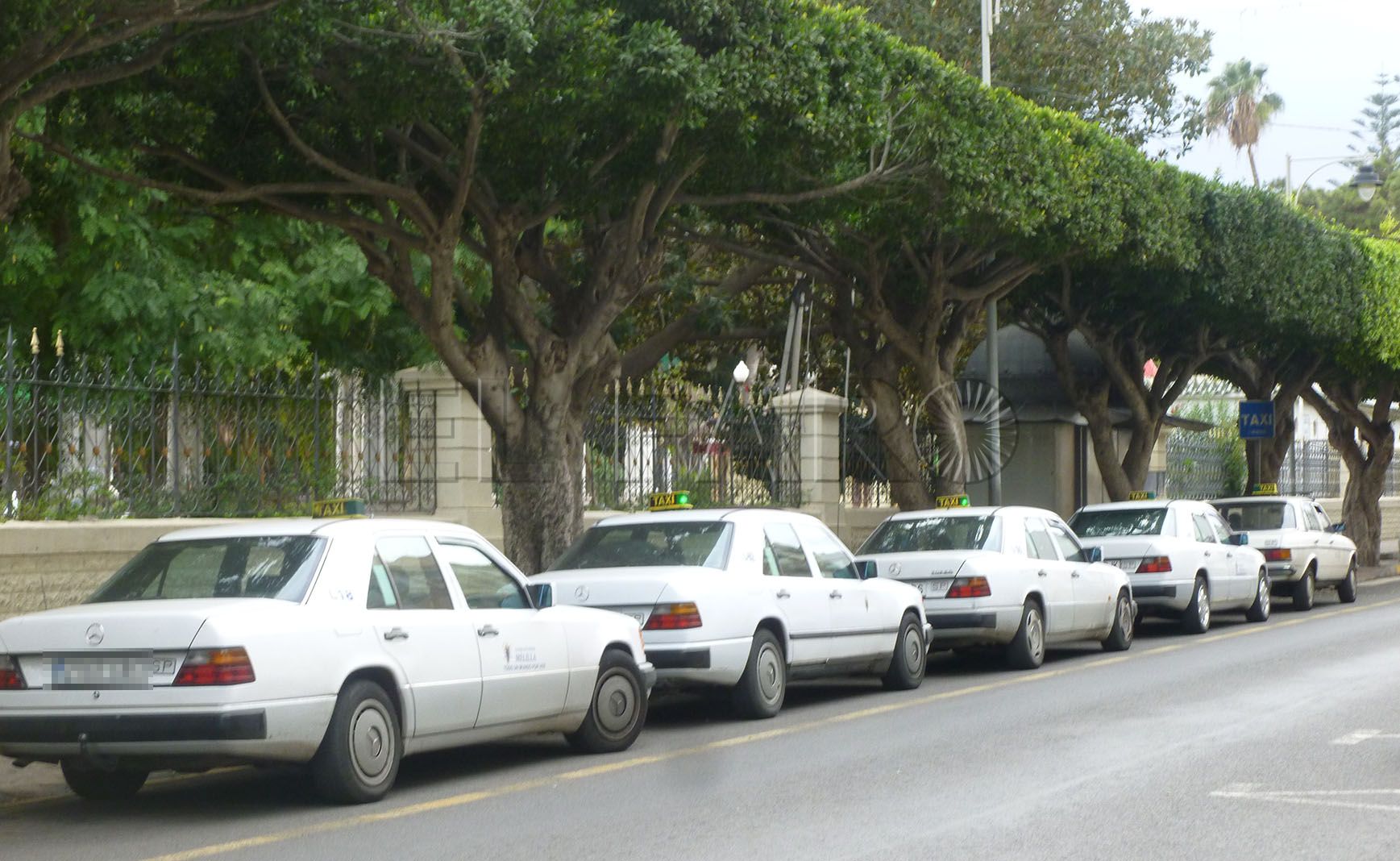 Los taxis recibirán 50.000 € a cambio de que pongan una ‘app’ o una centralita