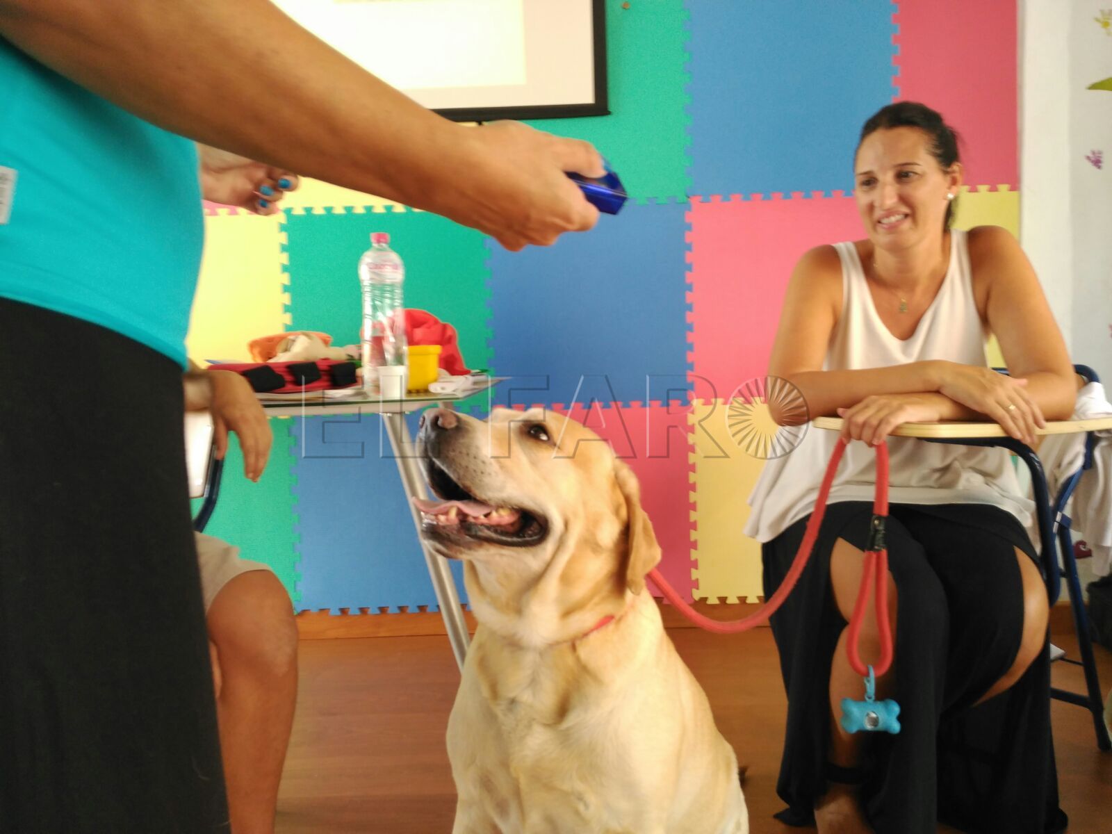 TeAma aprende a enseñar a los niños con ayuda de perros