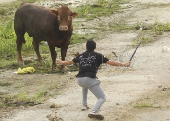 3 1 9 Cowboys melillenses y carreras al estilo de los Sanfermines, en el cauce