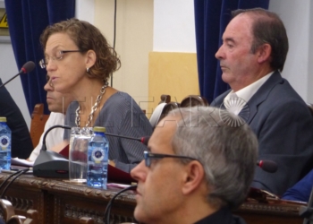 4 1 1 Vizcaíno propone que se cambie el modelo de Feria e Imbroda le responde que haga propuestas
