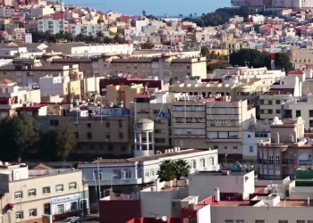 7 1 6 La Policía ha denunciado a una gestoría del Rastro que realizaba seguros sin validez a vehículos