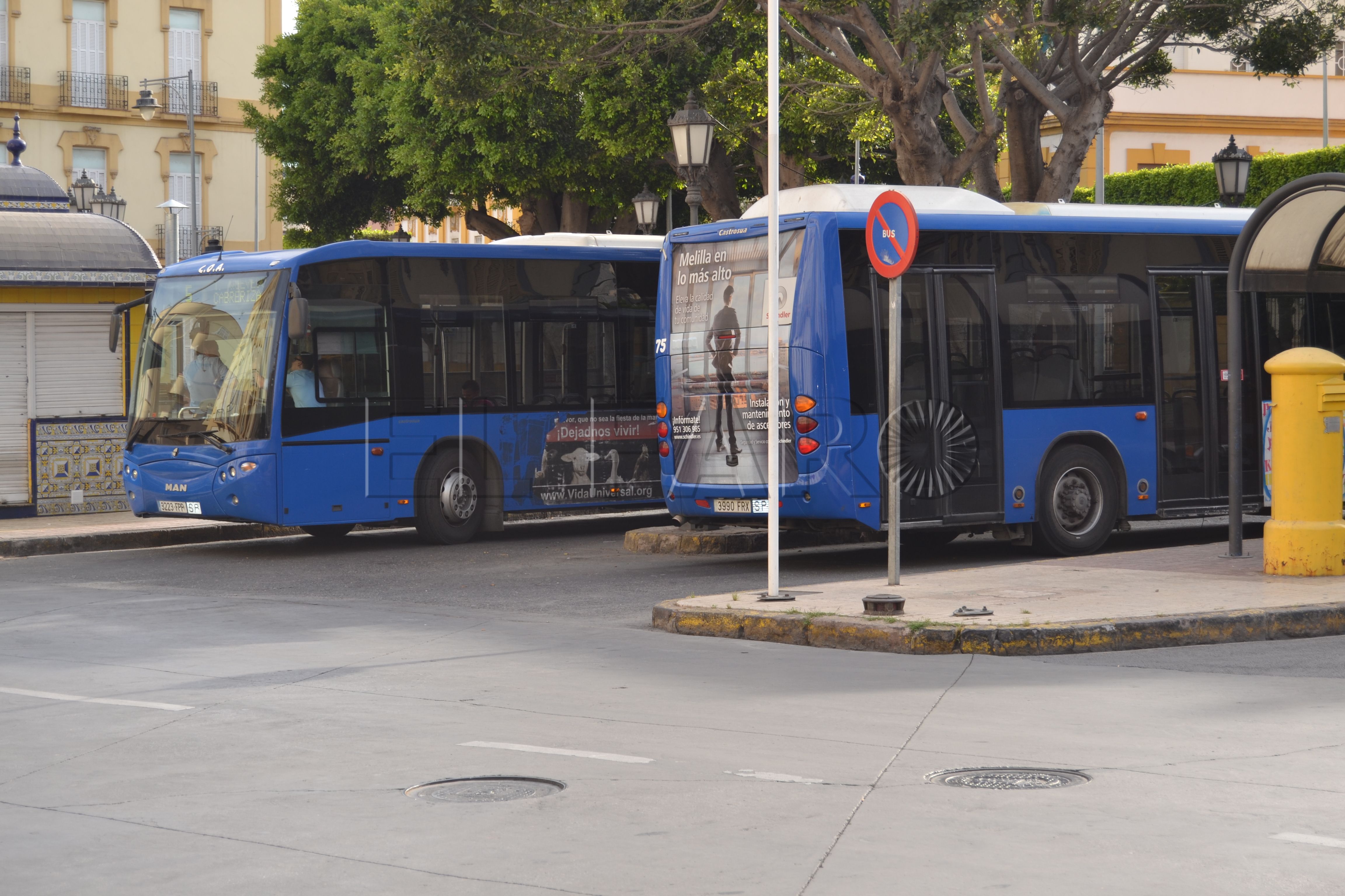 Mejoras para la COA