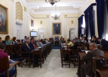 P1030352 El Pleno aprueba un nuevo reglamento para acogida y adopción de menores