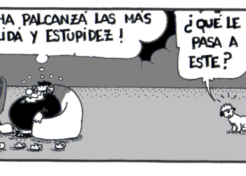 ml131116 Domingo 13 de noviembre de 2016