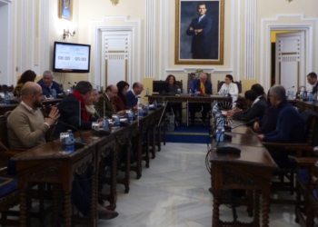 10 1 13 El Pleno aprueba el pago extraordinario de 46.000 euros en facturas pendientes