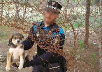 8 2 1 Policía Local y Bomberos rescatan a dos cachorros de perro de un incendio