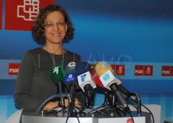 El PSOE preguntará a Fomento cómo va a recuperar las rutas con Granada y Almería
