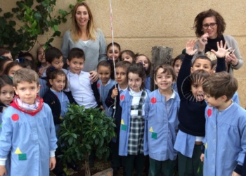 18 3 Alumnos de Infantil del Enrique Soler preparan su salto a Primaria con un árbol