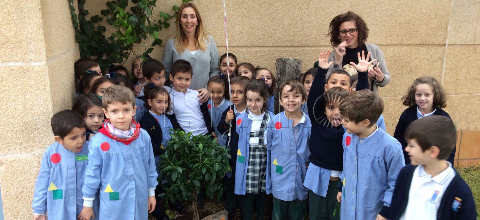 Alumnos de Infantil del Enrique Soler preparan su salto a Primaria con un árbol