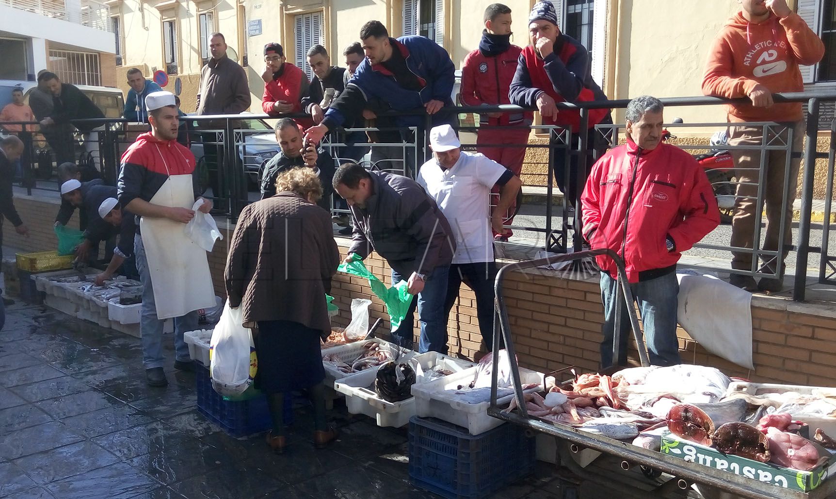 La Policía Local investiga quién entrega el pescado a vendedores ambulantes ilegales
