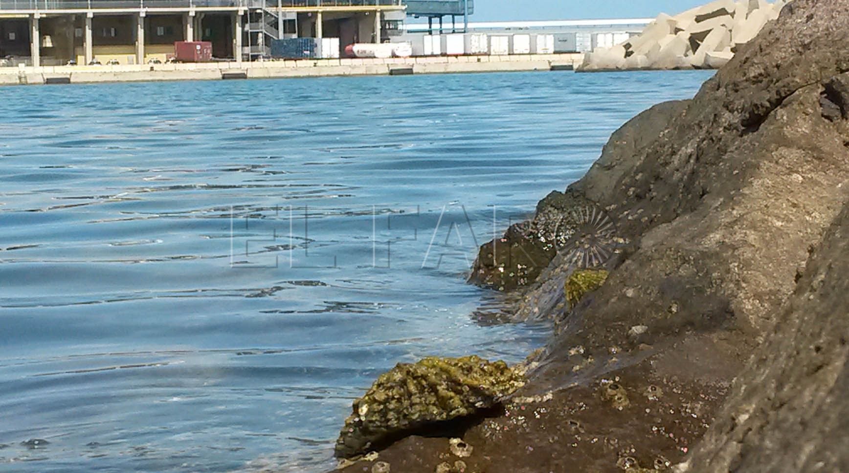 El puente arco de la ampliación del puerto que no daña a la patella tendrá zona de paseo
