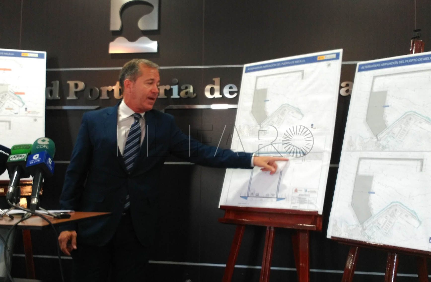 La obra del puente arco para ampliar el puerto no afectará a la patella ferruginea