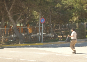 7 1 15 Seis mujeres, acusadas de lesiones tras una pelea en la carretera de Rostrogordo