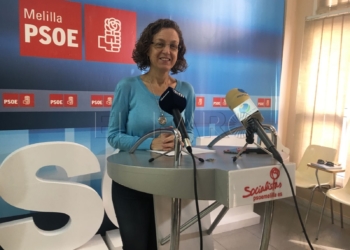 95606037 ef36 49c7 8db8 1d2e1ad57574 El PSOE pide abrir un centro de día para enfermos crónicos tras el suceso ocurrido en el área de Psiquiatría