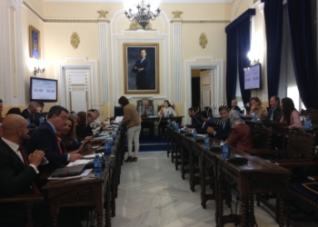 IMG 3760 La Asamblea aprueba la cesión del parking del Mercado Central a Emvismesa para su gestión
