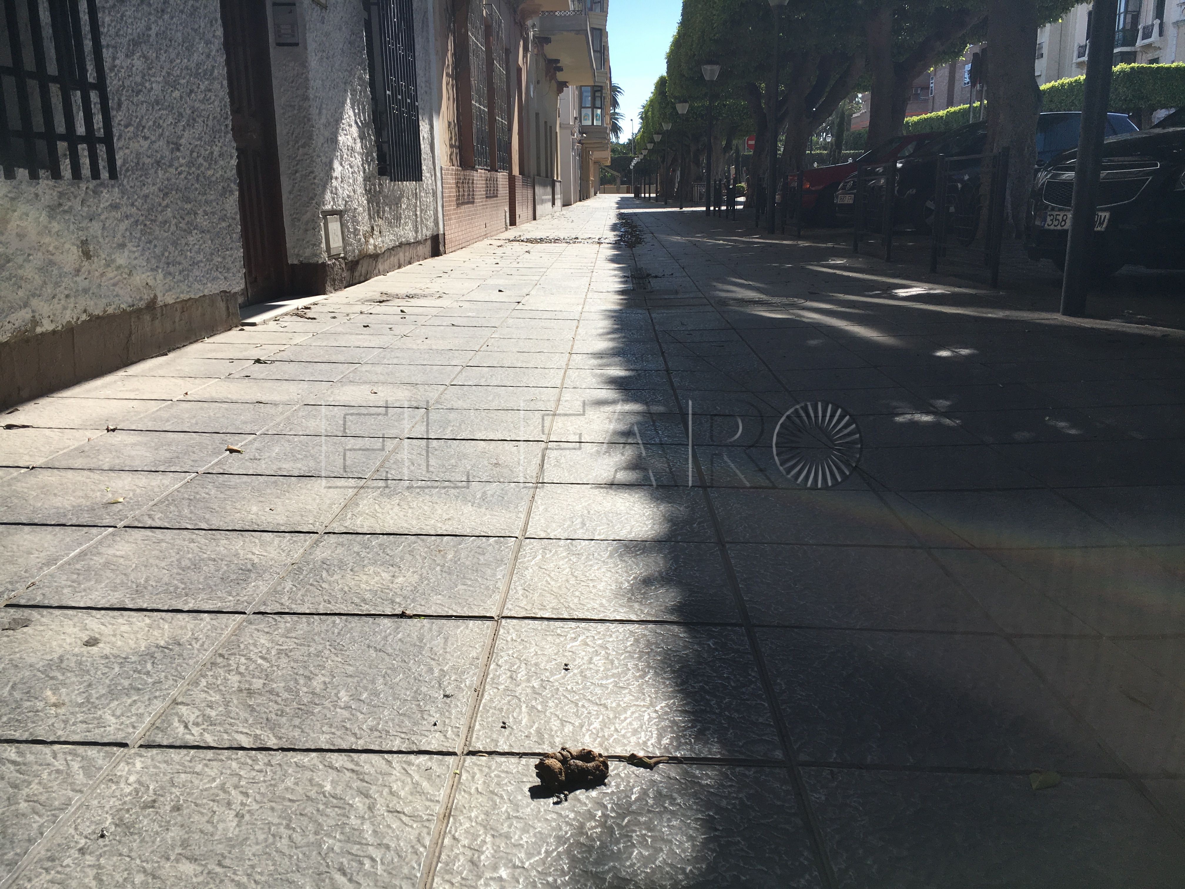 Manga ancha con las cacas de perro