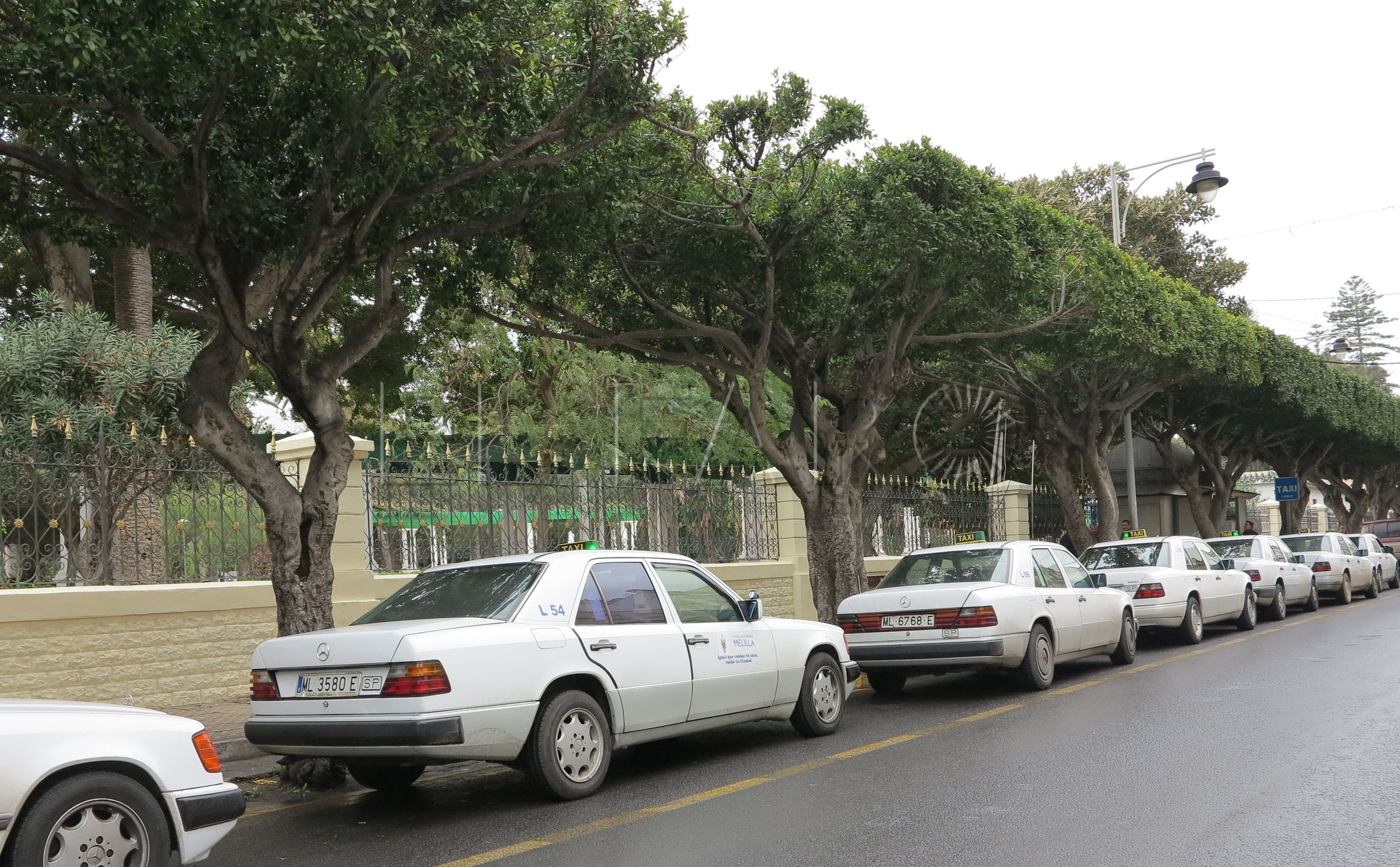 Los taxistas aseguran que el parón en las sanciones a ‘piratas’ ha hecho que bajen sus beneficios
