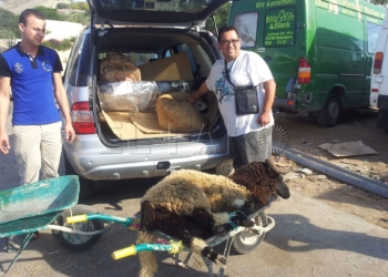 2 1 4 Conesa acusa a los cepemistas de confrontar y dice que los corderos pasarán según dicta la ley