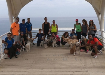 De excursión con los perros