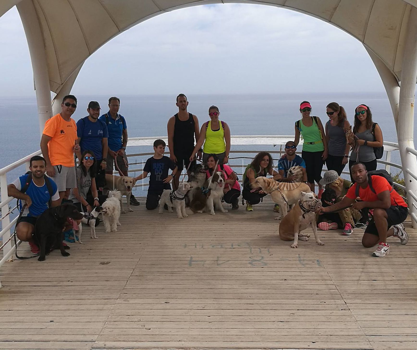 De excursión con los perros