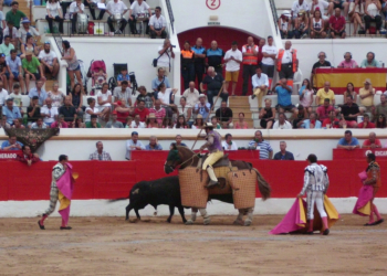18 1 2 Las promociones de viajes para ver los toros de la Feria se han agotado ya, según Mateo